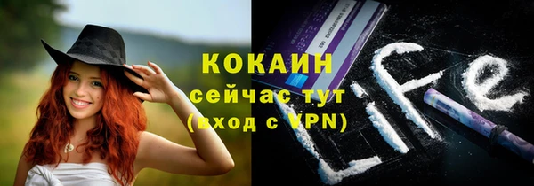 ГАЛЛЮЦИНОГЕННЫЕ ГРИБЫ Арсеньев